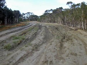 Track