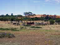 CH08 -31.74722400 CH08 -31.74722400