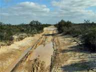ES175, -33.673610, 123.179420 Looking south