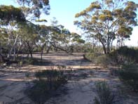 HT13, -31.685146, 120.450608,Camping HT13, -31.685146, 120.450608,Camping