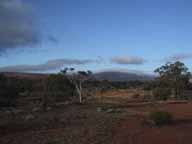 Mt Singleton Mt Singleton
