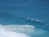 BBT060,Dolphins in the surf,-32.72855,125.02626 BBT060,Dolphins in the surf,-32.72855,125.02626