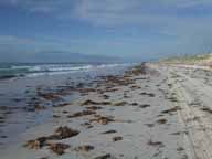 The only way is the beach run at low tide The only way is the beach run at low tide