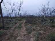 BBT088,Track conditions,-33.08772,123.79213 BBT088,Track conditions,-33.08772,123.79213
