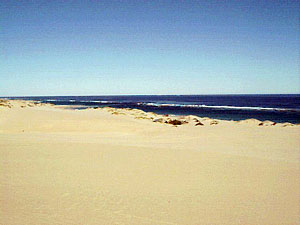North of the bay