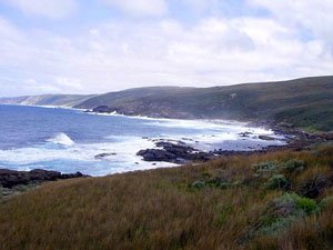 WCH13, -35.123230, 117.609380 Rocky shoreline.