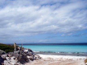 BB138, -34.376670, 119.533950 Easy access to Whalebone Beach BB138, -34.376670, 119.533950 Easy access to Whalebone Beach